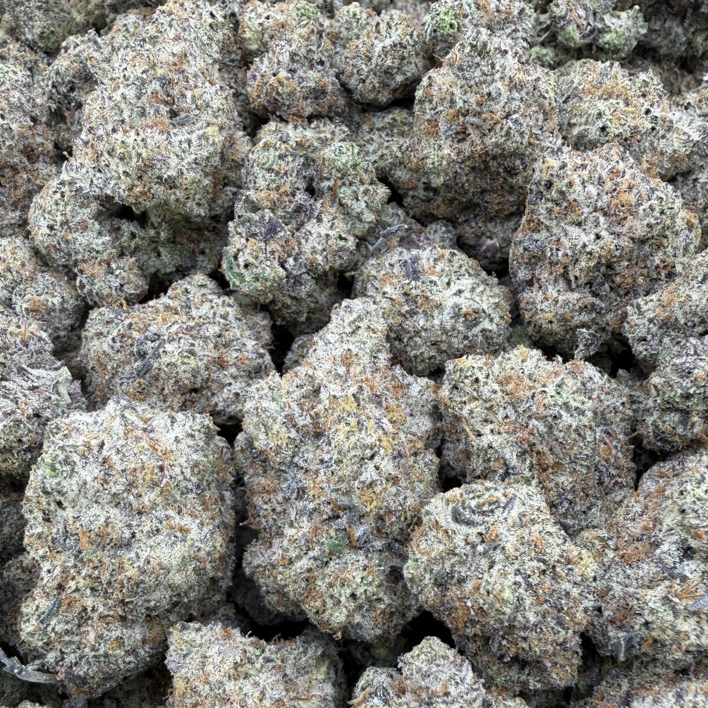 THC-A Flower Trufflez Hybrid (Indoor)