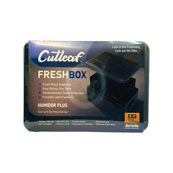 Cutleaf Fresh Box + Tray