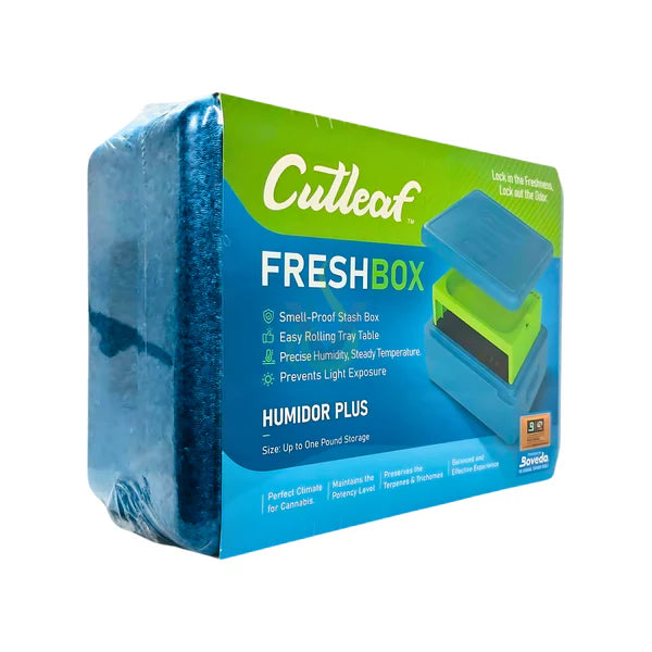 Cutleaf Fresh Box + Tray