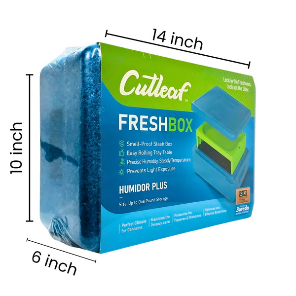 Cutleaf Fresh Box + Tray