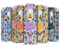 Big High THC-A Disposable 2g (5/Pack) [DROPSHIP]