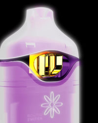 Boutiq Switch Glow Disposable 2g (SINGLE)