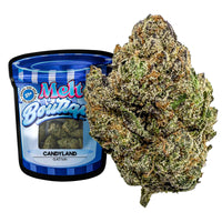 Melt Boutique THC-A Flower 3.5g (SINGLE) [DROPSHIP]