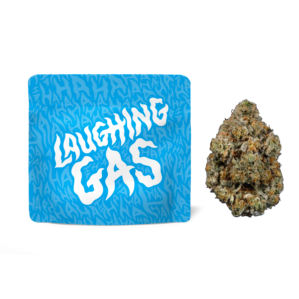 Cookies THC-A Flower Bag 1g (SINGLE)