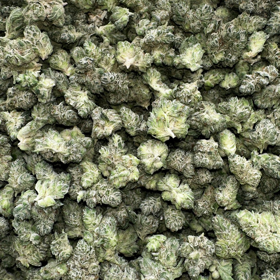 Purple Summit Farms THC-A Indoor Flower GG4 Hybrid (SINGLE) [DROPSHIP]