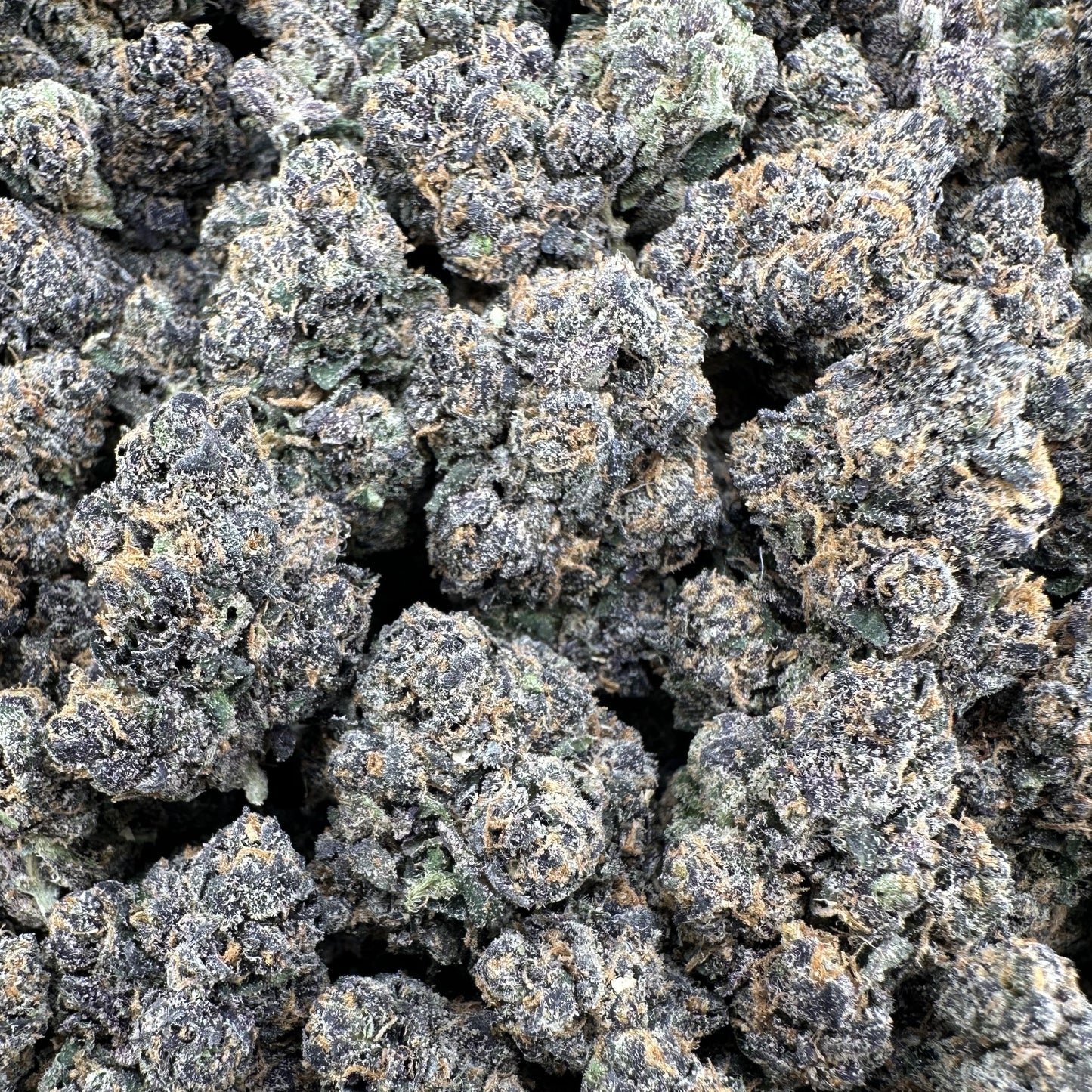 THC-A Flower Gelonade Hybrid (Indoor)