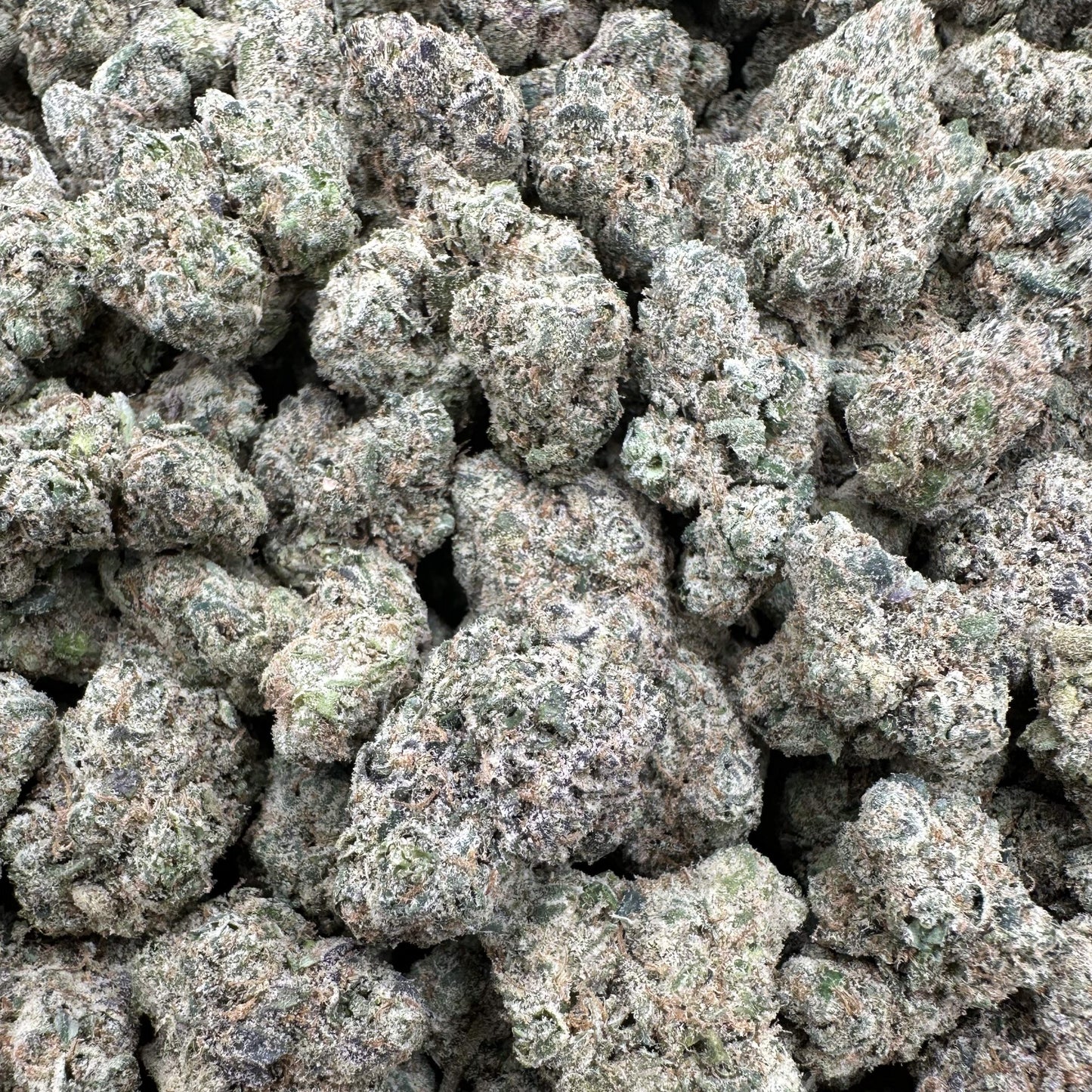 THC-A Flower Rainbow Belts Hybrid (Indoor)