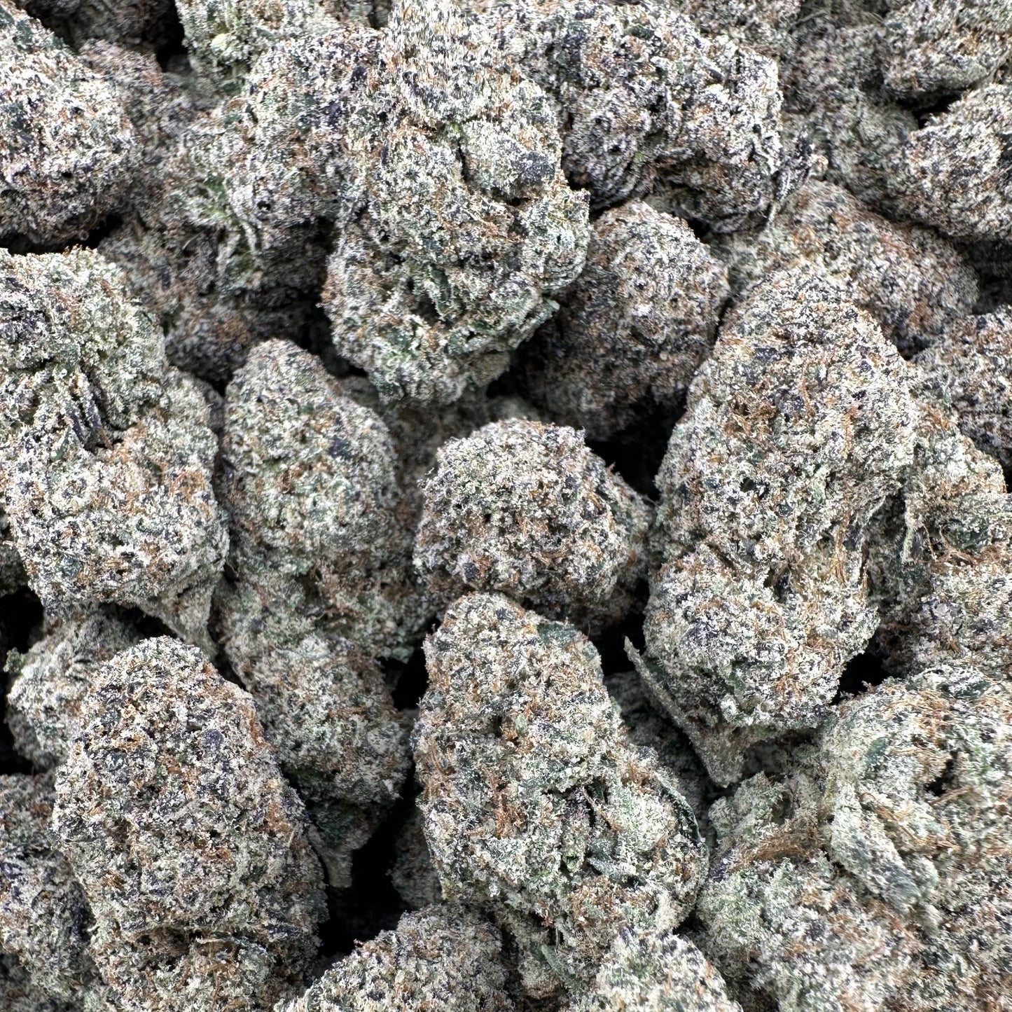 THC-A Flower Sunset Sherb Hybrid (Indoor)