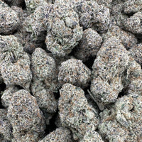 THC-A Flower Sunset Sherb Hybrid (Indoor)