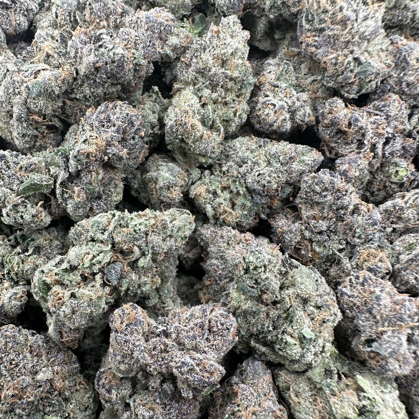 THC-A Flower White Cherry Gelato Hybrid (Indoor)