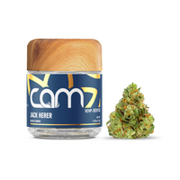 CAM THC-A Flower Jar 3.5g (SINGLE)