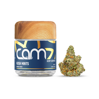 CAM THC-A Flower Jar 3.5g (SINGLE)