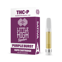 Little High THC-P Cartridge 1g (10/Pack) [DROPSHIP]