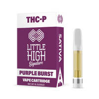 Little High THCP Cartridge 1g (10/Pack) [DROPSHIP]
