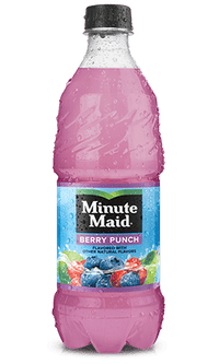 Minute Maid Peach Punch 20oz 591ml Bottle, 24 pack