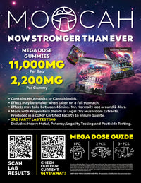 Moocah Mushroom Gummies 5ct 11000mg (12/Pack) [DROPSHIP]