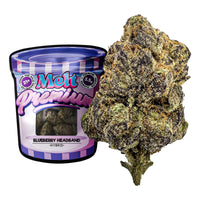 Melt Premium THC-A Flower 3.5g (SINGLE) [DROPSHIP]