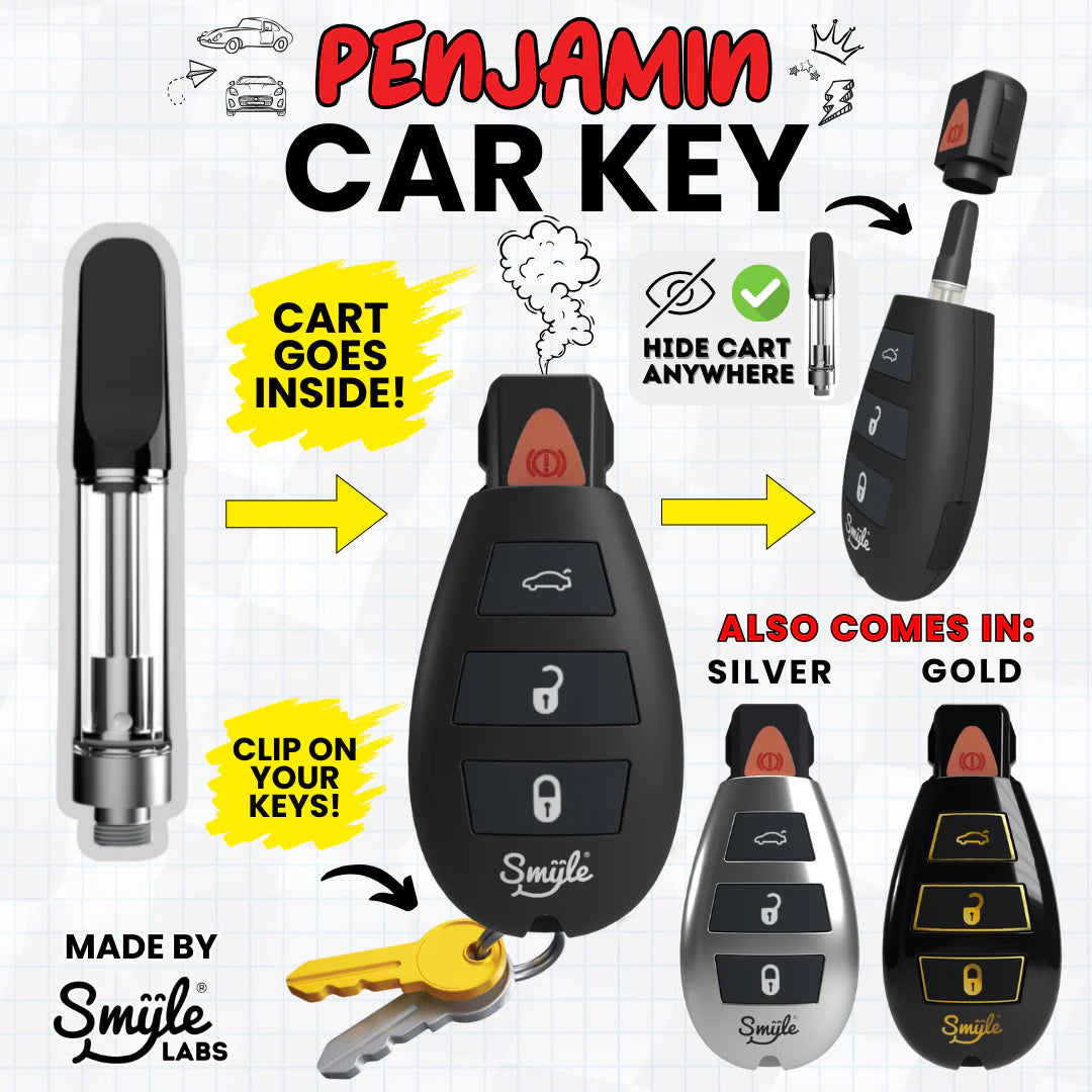 Smyle Penjamin Car Key 510 Battery (SINGLE)