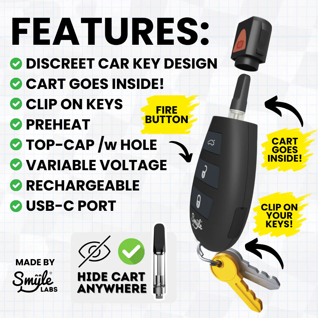 Smyle Penjamin Car Key 510 Battery (SINGLE)