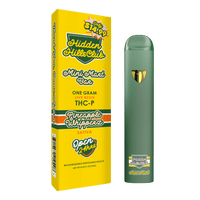 Hidden Hills $14.99 Pre Priced Mini Mart Bar THC-P Disposable 1g (5/pack)