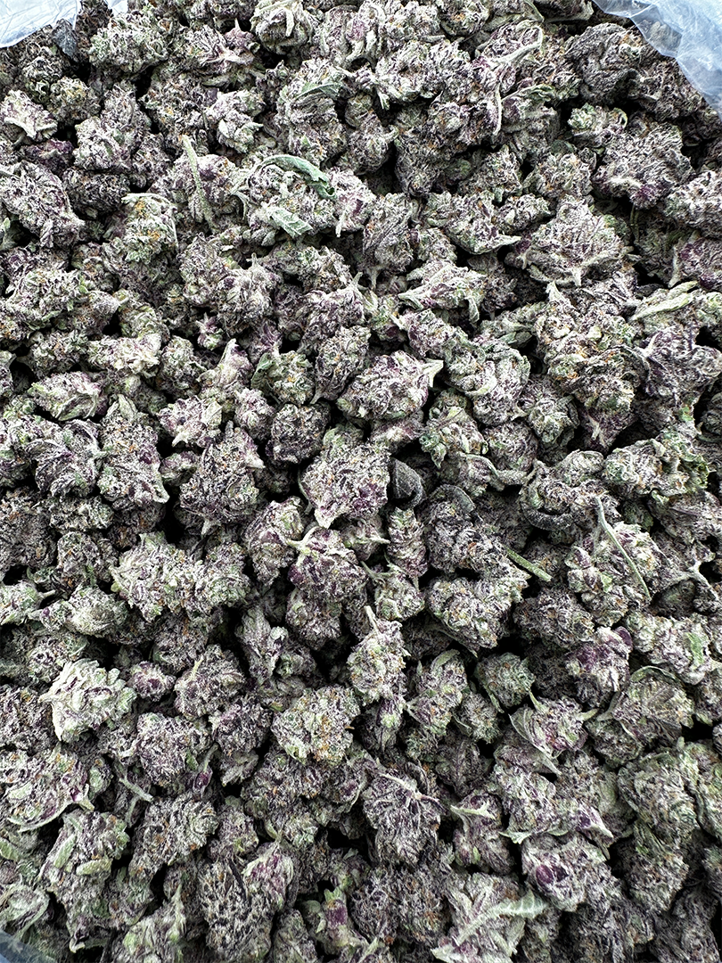Purple Summit Farms THC-A Indoor Flower Pink Cookies Indica (SINGLE) [DROPSHIP]