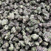 Purple Summit Farms THC-A Indoor Flower Smalls Pink Ladys Hybrid (SINGLE) [DROPSHIP]