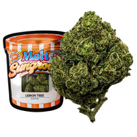 Melt Sungrown THC-A Flower 3.5g (SINGLE) [DROPSHIP]