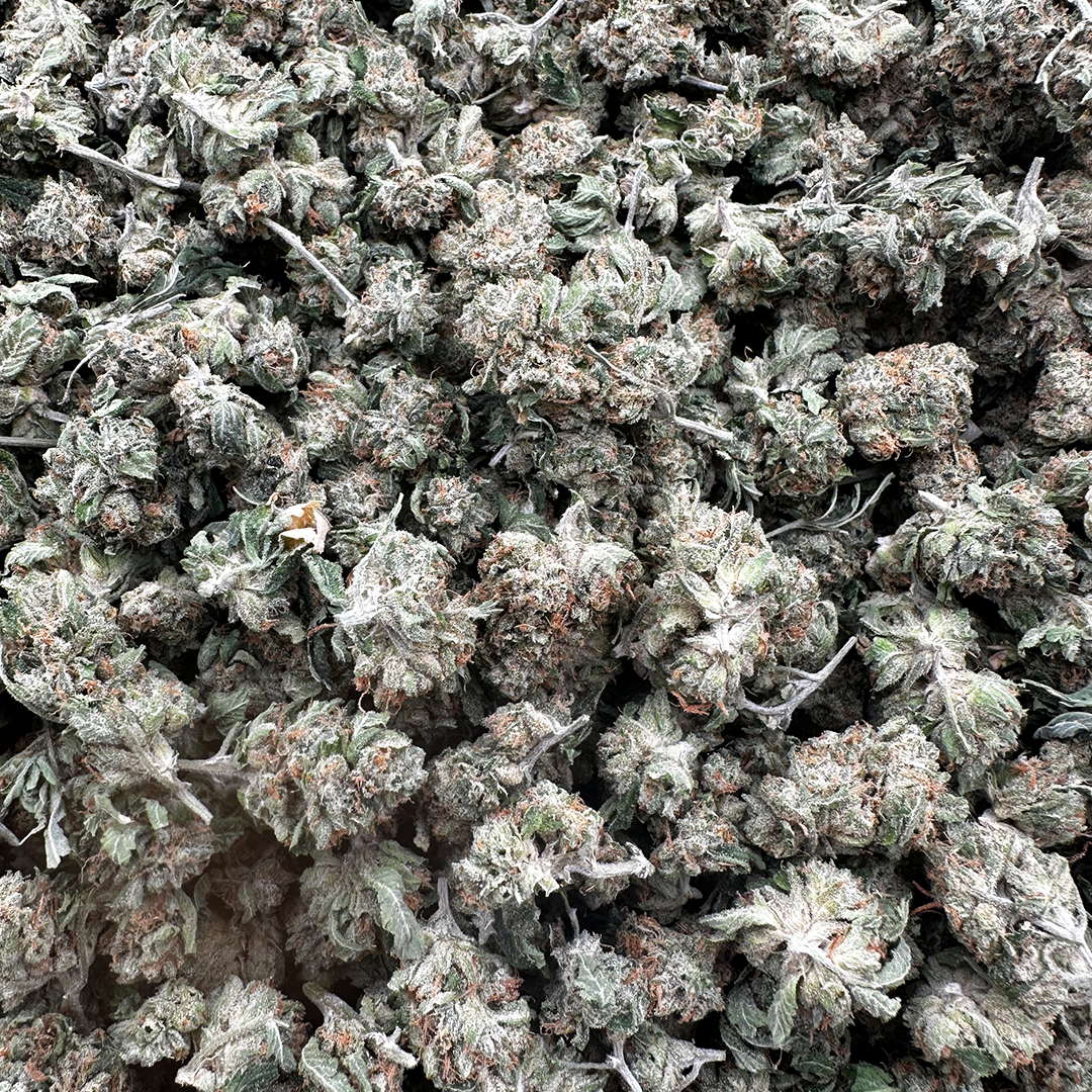 Purple Summit Farms THC-A Indoor Flower Smalls Sour Zkittlez Hybrid (SINGLE) [DROPSHIP]