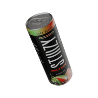 STIIIZY Hemp Seltzer 5mg (4/pack)