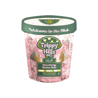 Hidden Hills Trippy Mushie Conez 2ct (5/pack)