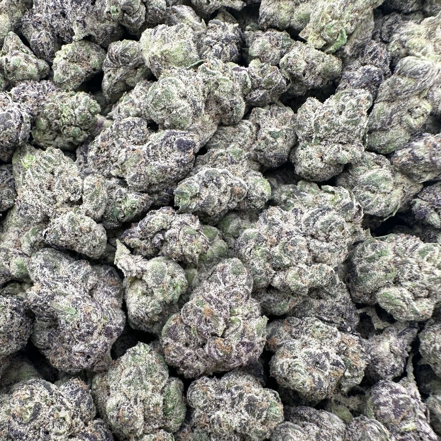 THC-A Flower Apple Fritter Hybrid (Indoor)