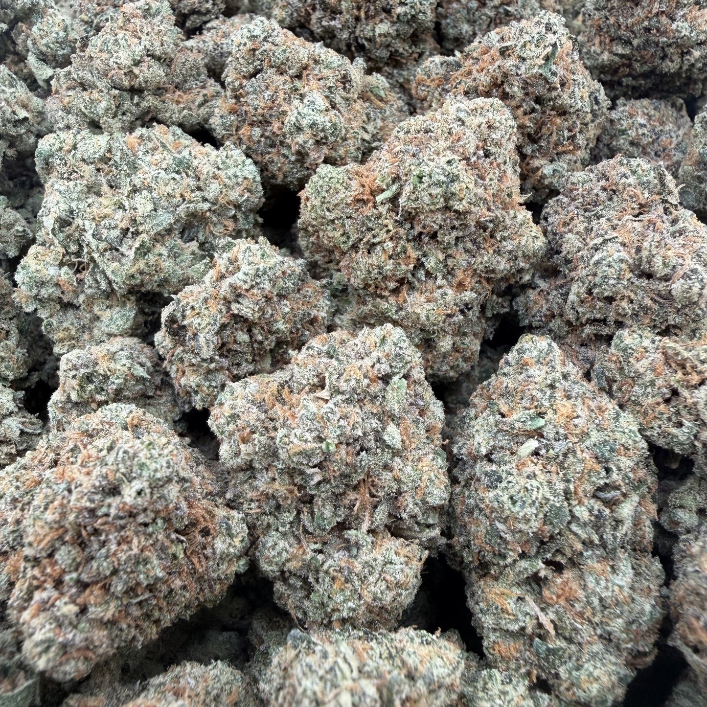THC-A Flower Apple Fritter Hybrid (Indoor)