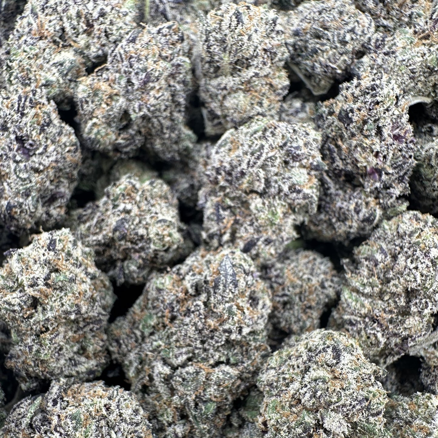 THC-A Flower Biscotti Hybrid (Indoor)