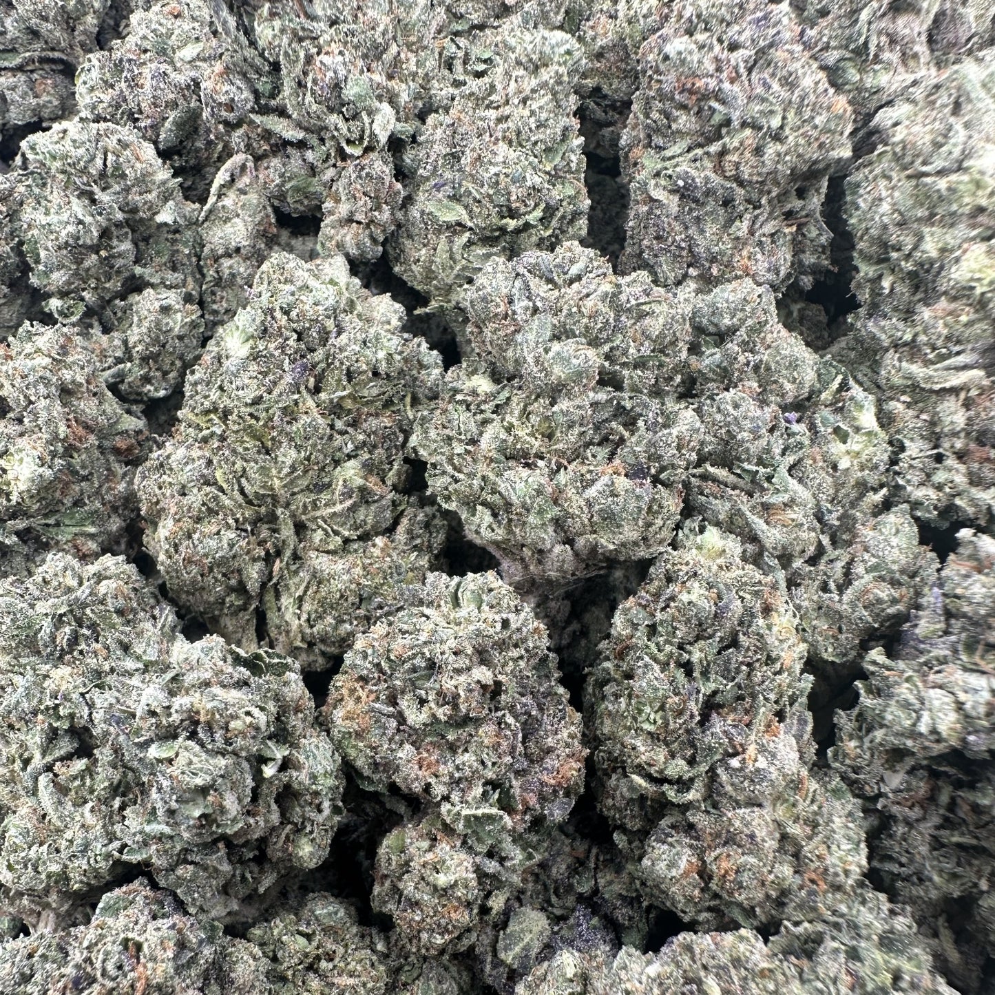 THC-A Flower Black Widow Hybrid (Light Dep)