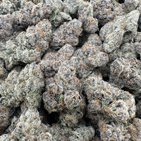 THC-A Flower Blue Slushie Indica (Indoor)