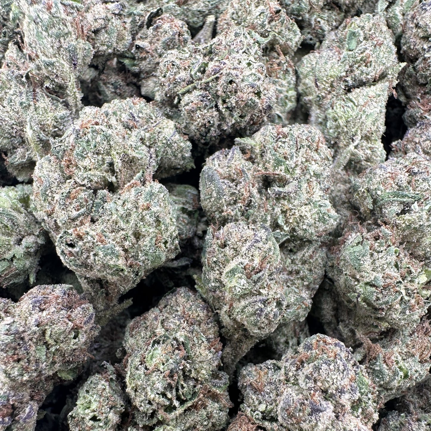 THC-A Flower Candy Certz Hybrid (Light Dep)