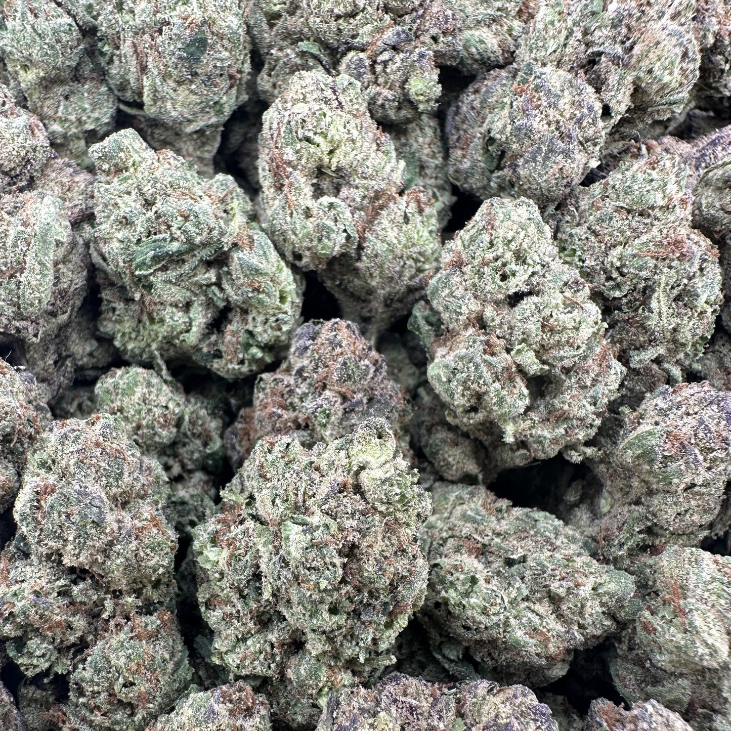 THC-A Flower Cookie Monster Hybrid (Light Dep)