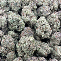 THC-A Flower Cookie Monster Hybrid (Light Dep)