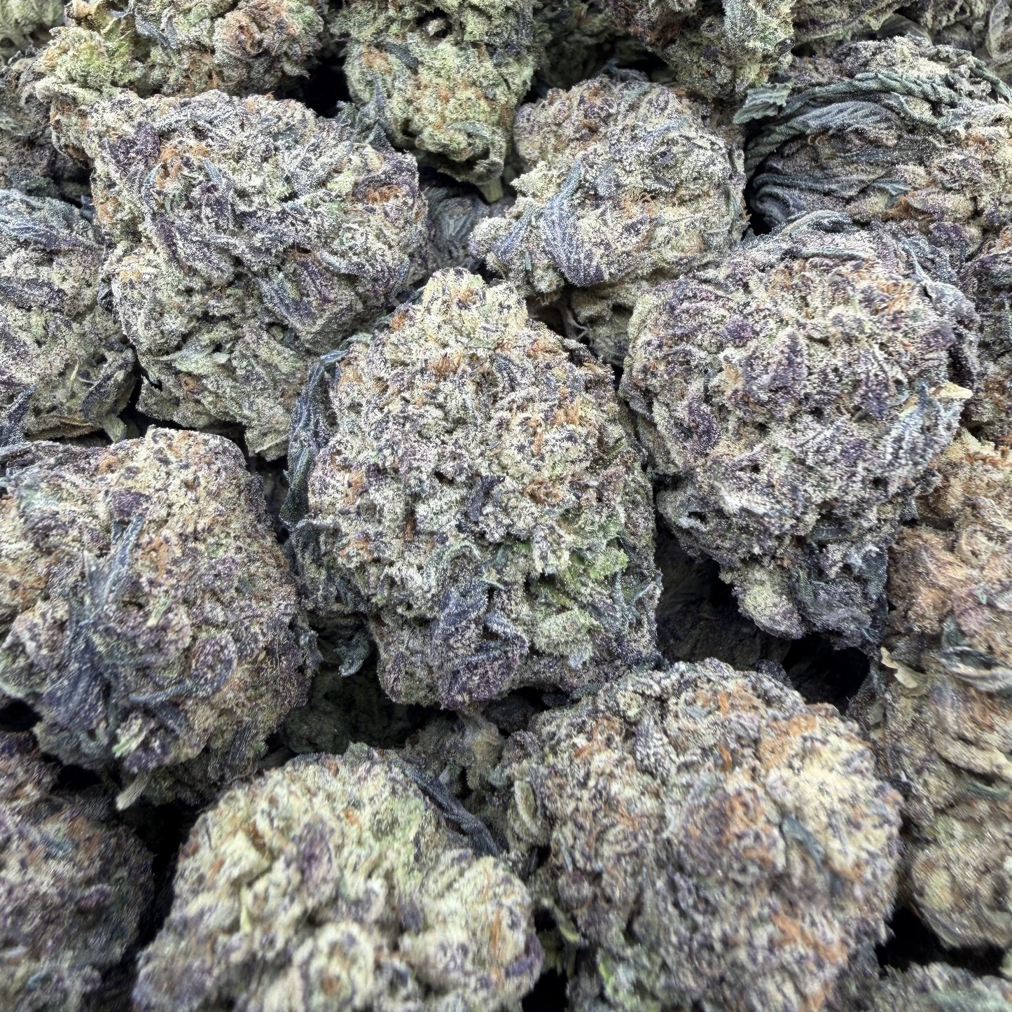 THC-A Flower Cookie Monster Hybrid (Light Dep)