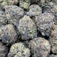 THC-A Flower Cookie Monster Hybrid (Light Dep)