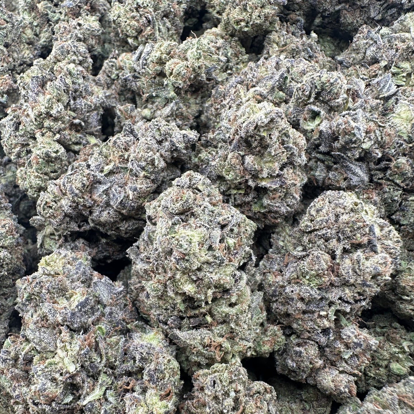 THC-A Flower Durban Poison Sativa (Light Dep)