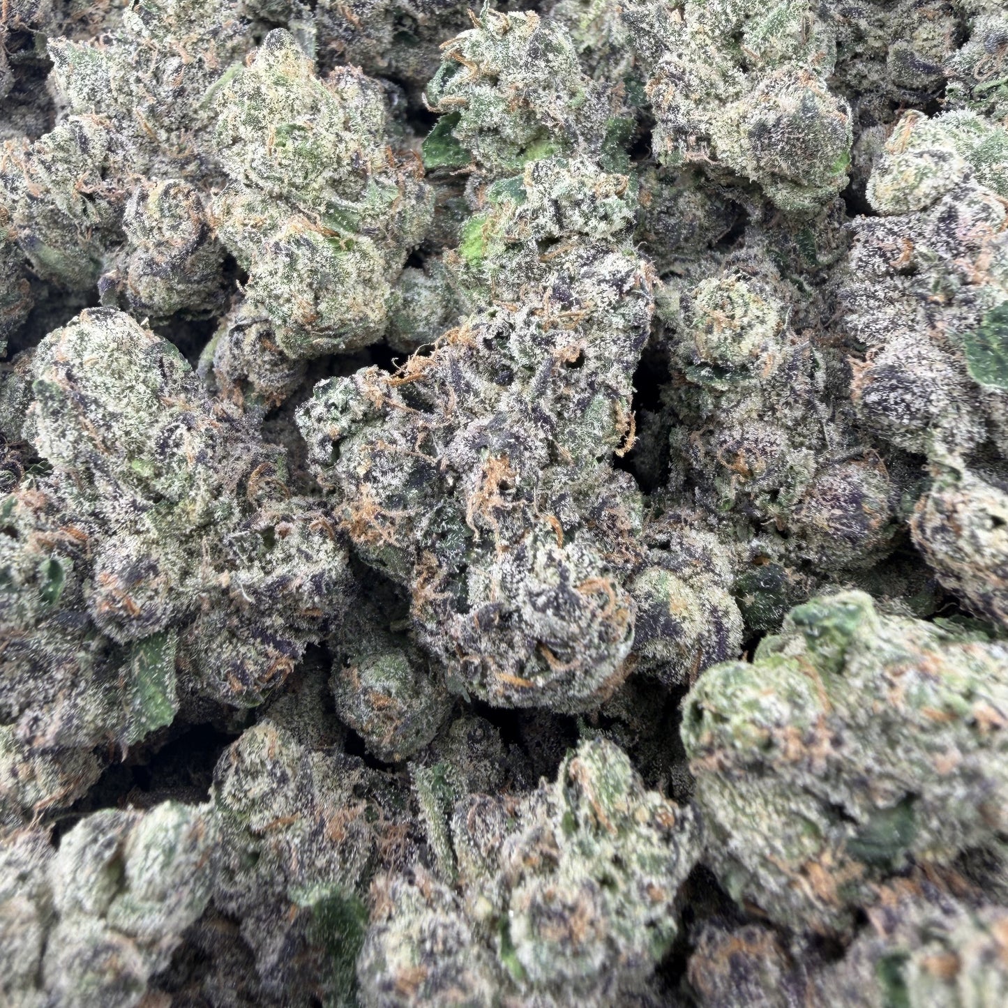 THC-A Flower Gumbo Indica (Indoor)