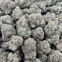 THC-A Flower Gushlato Hybrid (Indoor)