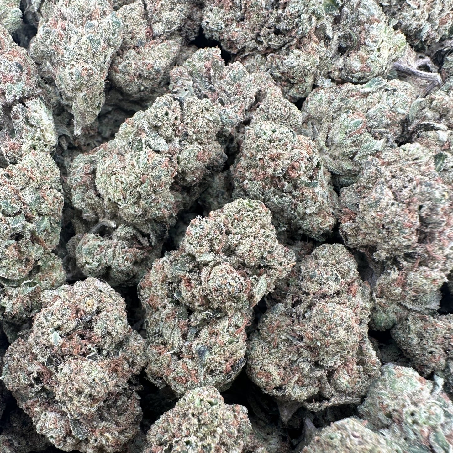 THC-A Flower Jet fuel OG Indica (Light Dep)