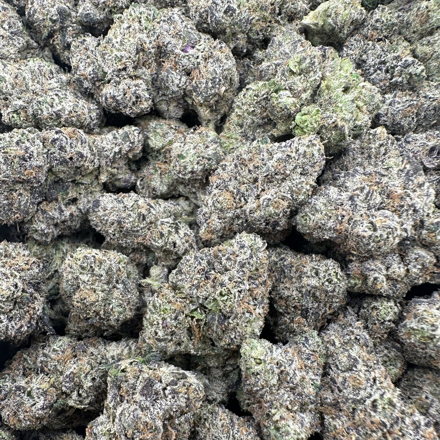 THC-A Flower Lemon Cherry Gelato Hybrid (Indoor)