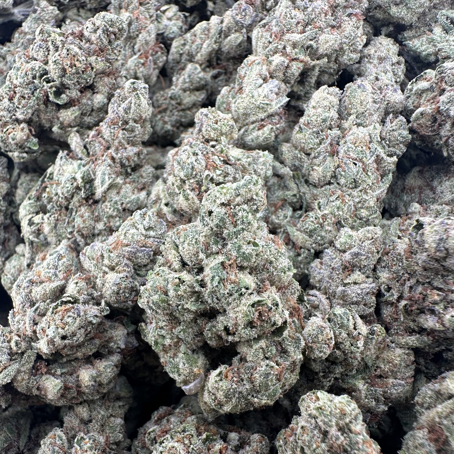 THC-A Flower Lemon Haze Sativa (Light Dep)