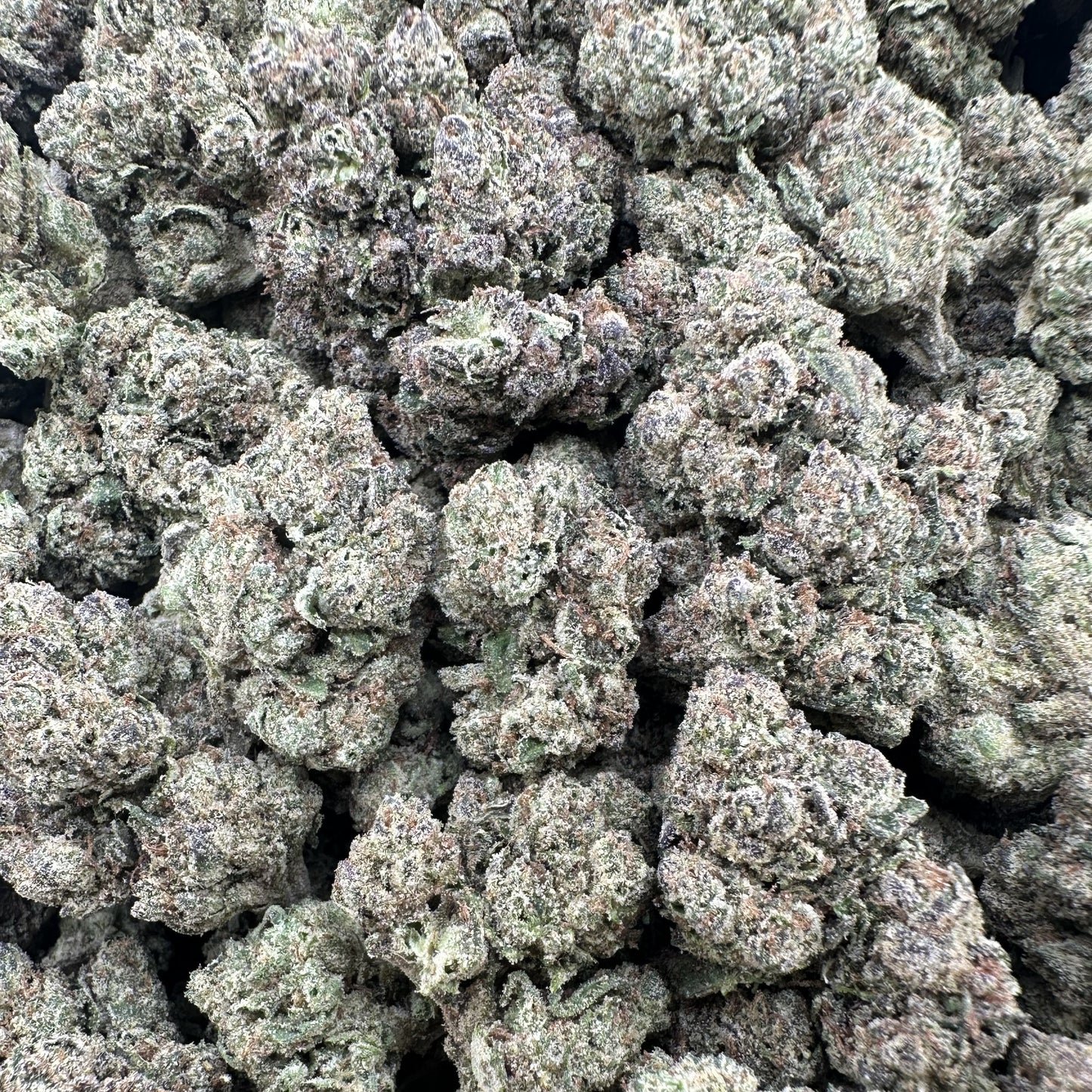 THC-A Flower Midnight Crasher Hybrid (Light Dep)