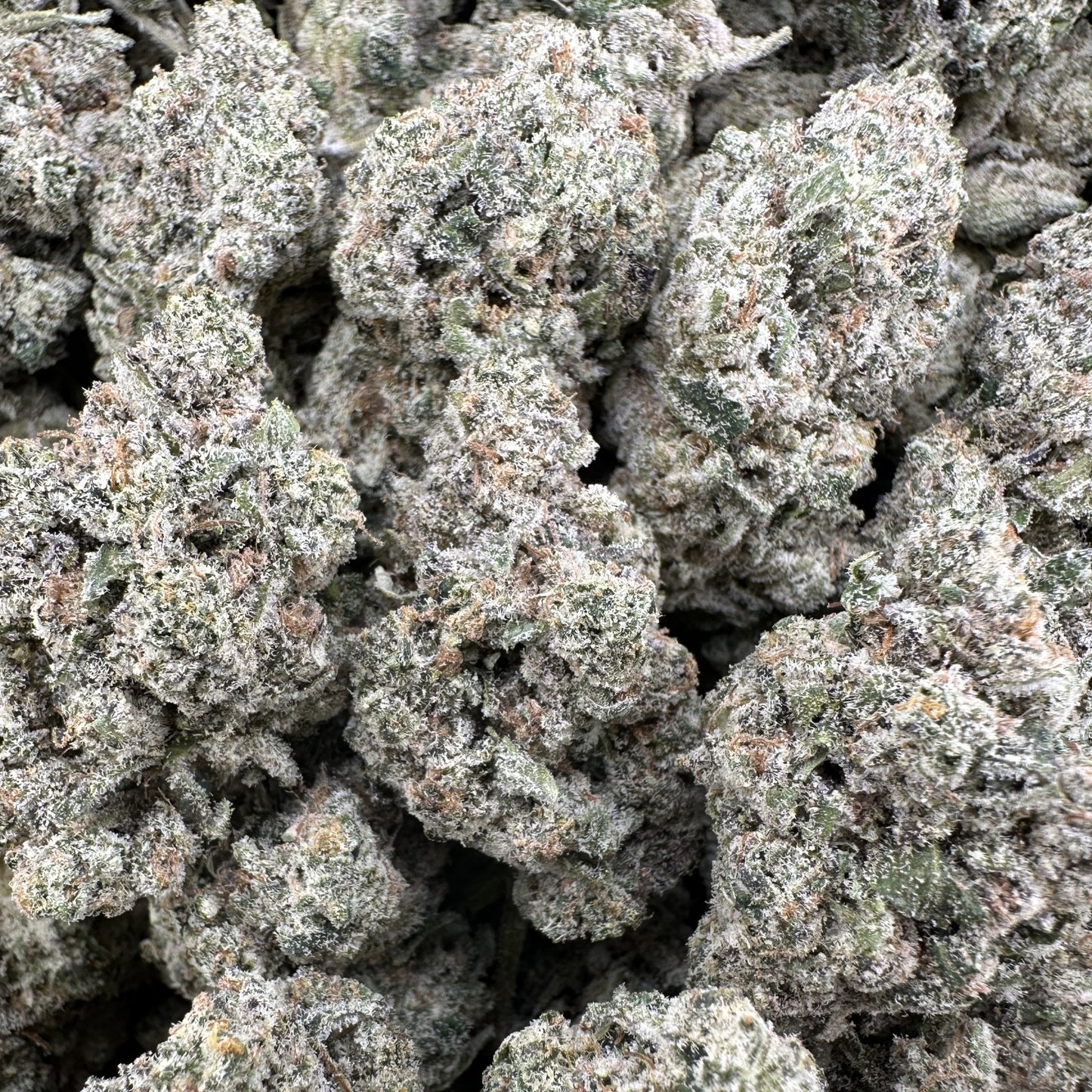 THC-A Flower Milk and Cookies Hybrid (Indoor)