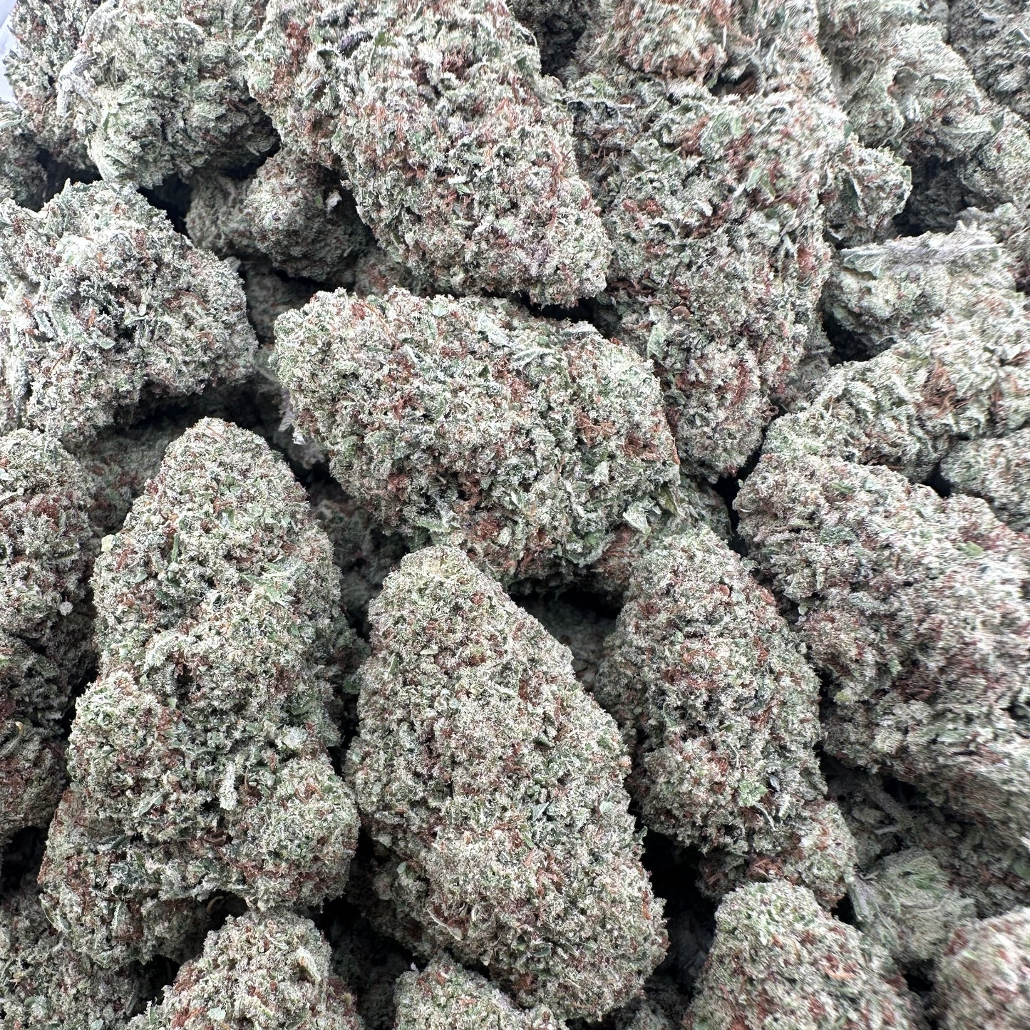 THC-A Flower Pineapple Express Sativa (Light Dep)