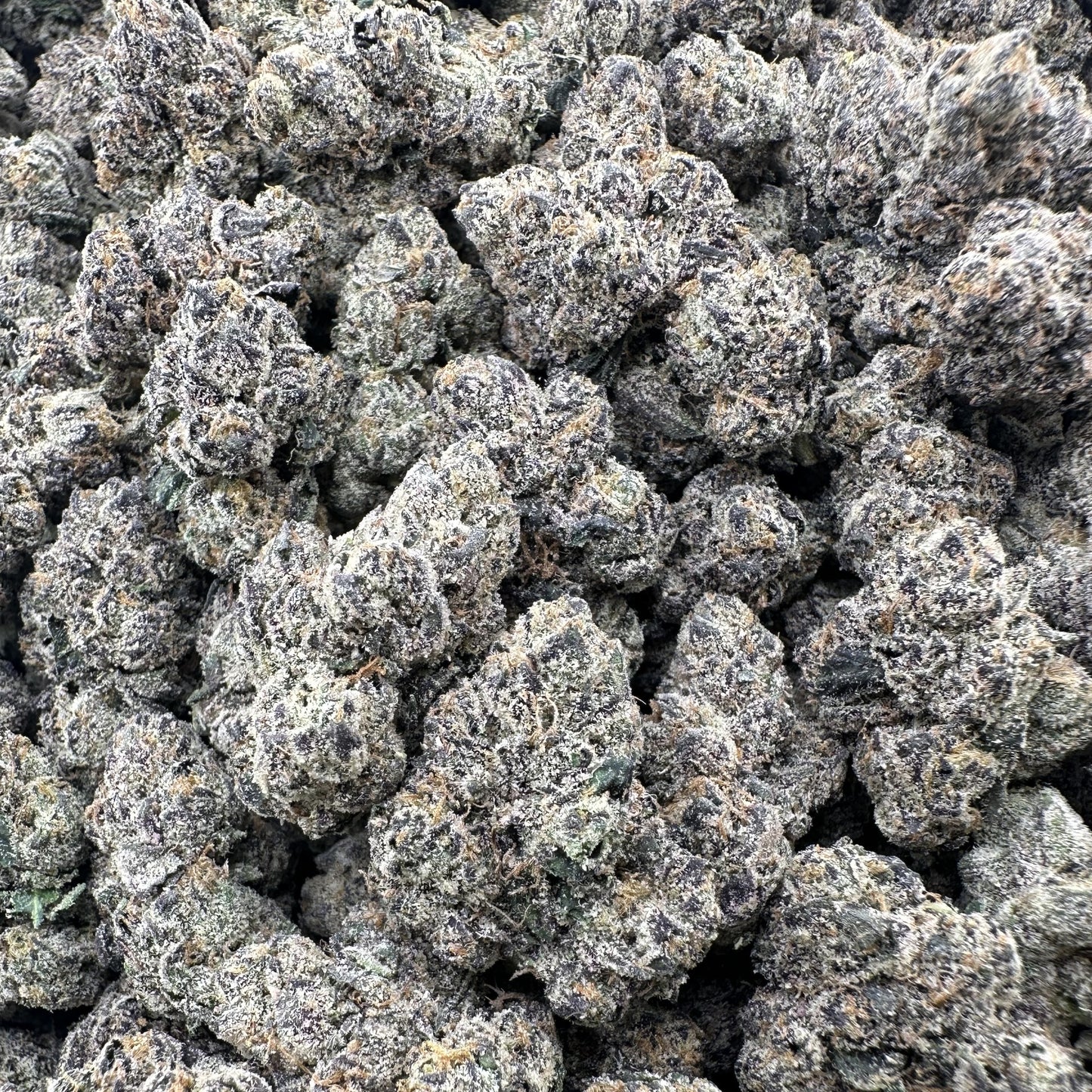 THC-A Flower Rainbow Gelato Hybrid (Indoor)